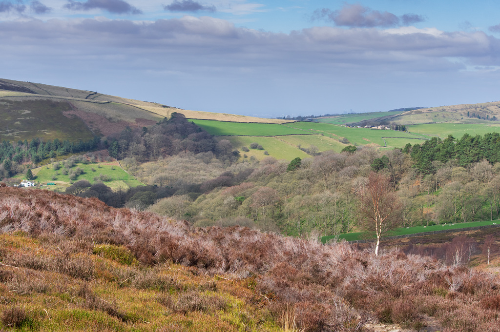 Moorland meets Woodland meets Farmland