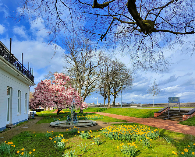 Frühling am Uerdinger Casino