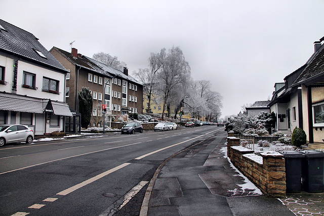 Aplerbecker Straße (Dortmund-Brackel) / 20.01.2025
