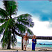 Seychelles : la grande palma è caduta sulla spiaggia - la sistemazione consente alla pianta di vivere ancora ...forse