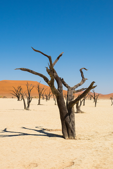 Namibia-0557