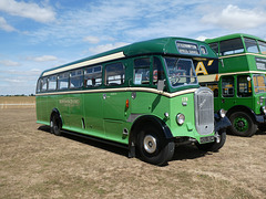 'BUSES Festival' at Sywell Aerodrome - 7 Aug 2022 (P1120939)