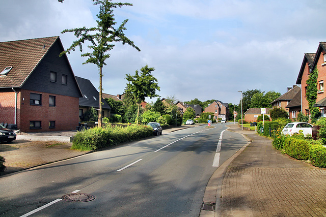 Hoerstgener Straße (Kamp-Lintfort-Hoerstgen) / 1.06.2024