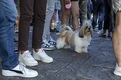 Eh, attention ! je suis là - Hey, pass auf ! Ich bin hier. - Hey, watch out! I'm here.