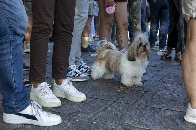 Eh, attention ! je suis là - Hey, pass auf ! Ich bin hier. - Hey, watch out! I'm here.