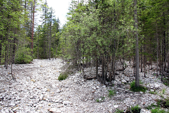 Murenabgang Innerfeldtal 4