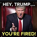 You're Fired