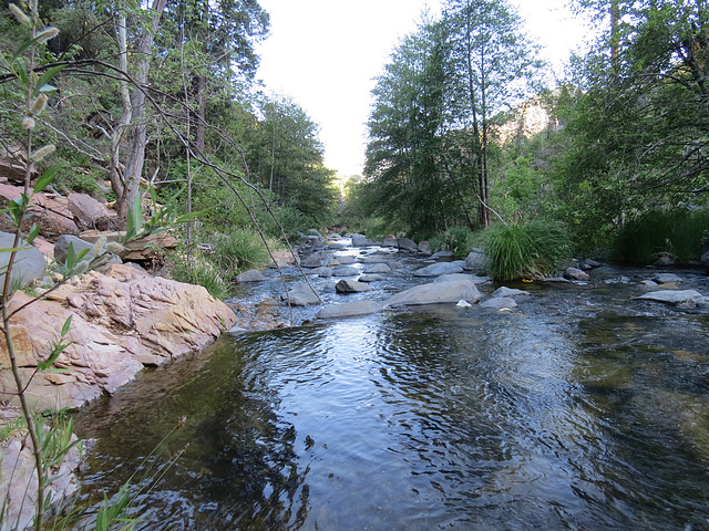 Oak Creek