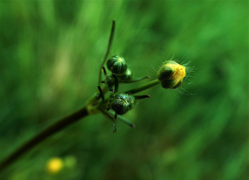 Reaching