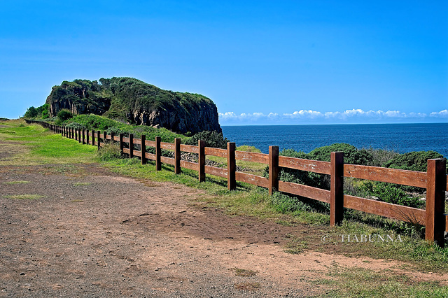 Bombo fence