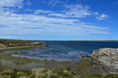 Fitzroy, East Falkland