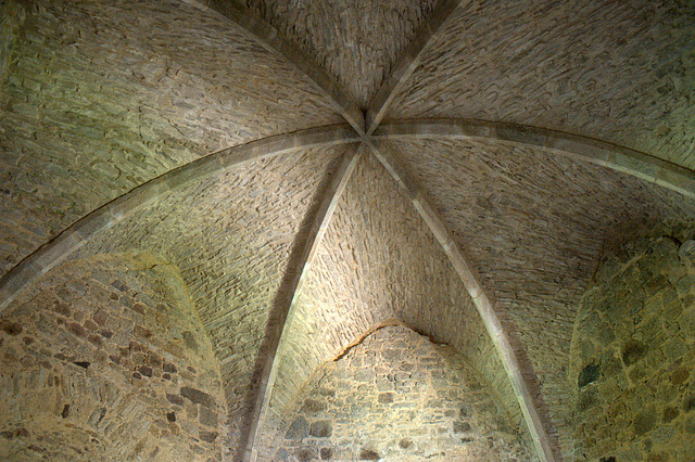 Voûtes du donjon du château de Bridiers