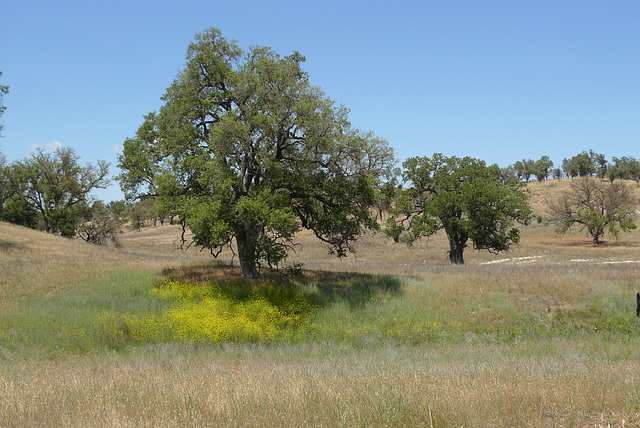 USA - California, Nacimiento-Ferguson Road