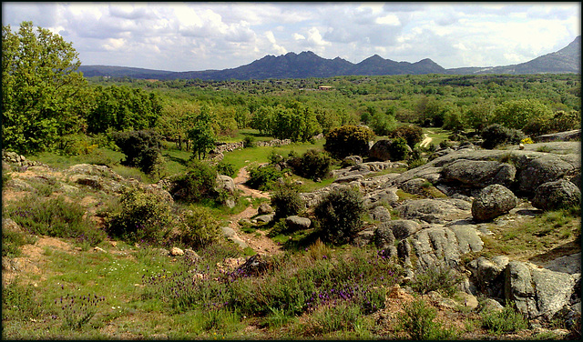 Las Navas de Buitrago