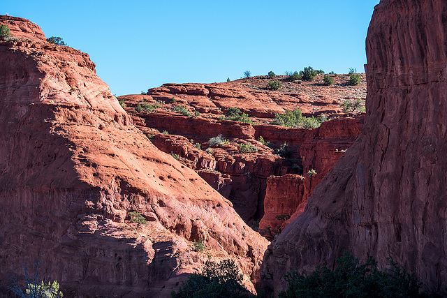 New Mexico landscape65