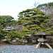 Tokyo,  In the Garden of the Imperial Palace