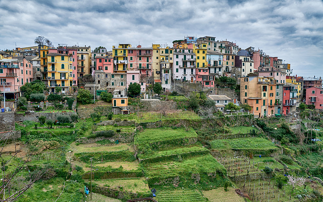 Cinque Terre