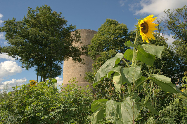 Château de Bridiers