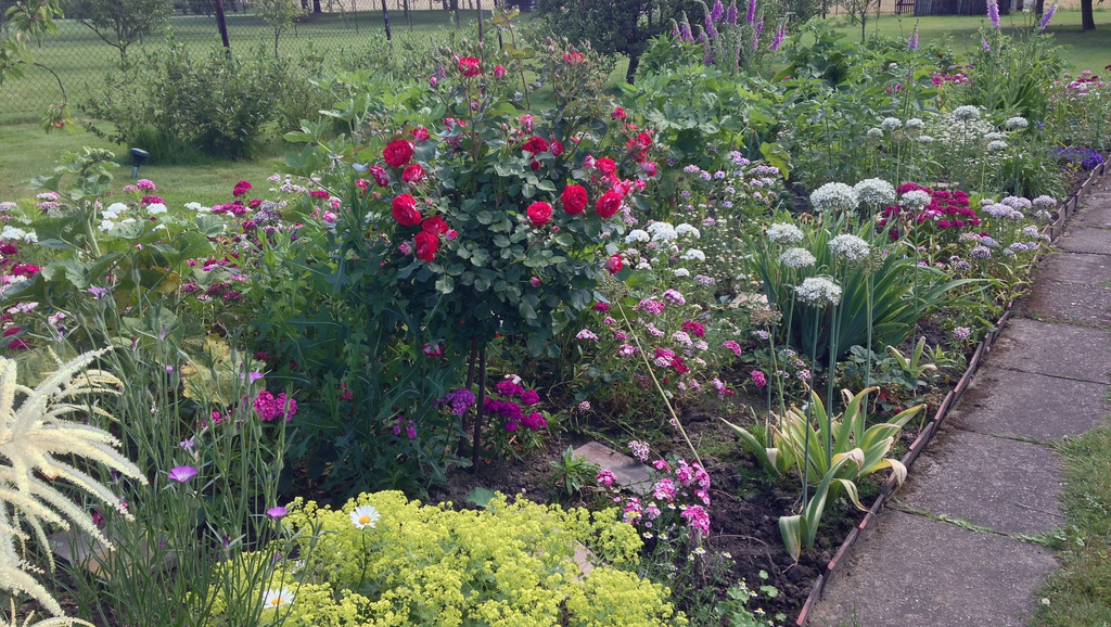 garten 001