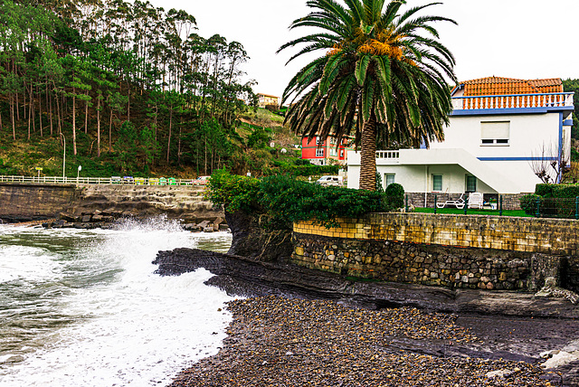 La casa de la palmera