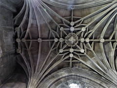 steeple ashton church wilts  c16 vaulting (1)