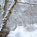 The path to the park after snow