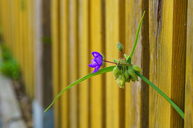 HFF: Ausblick