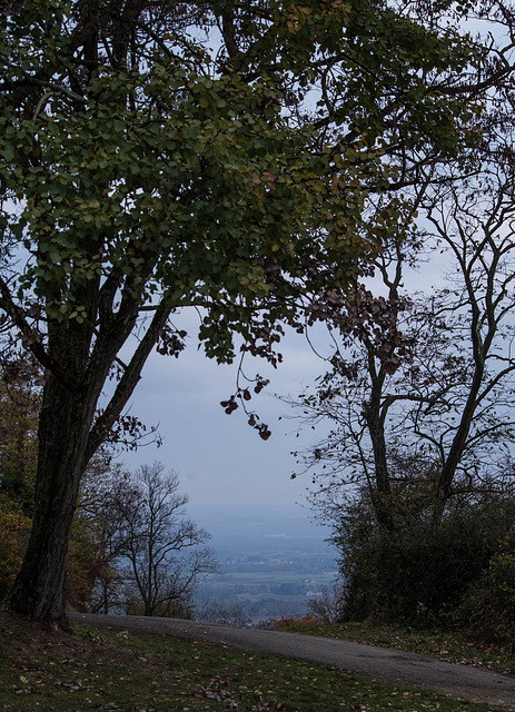 le mont Brouilly - Beaujolais