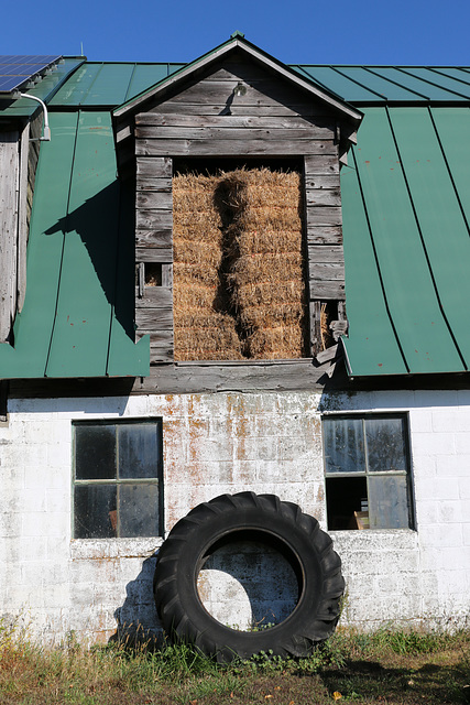 Giant tire - Spring Rain Farm