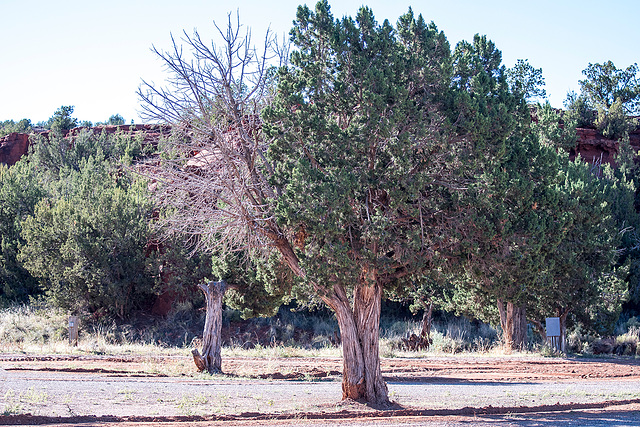 New Mexico landscape66