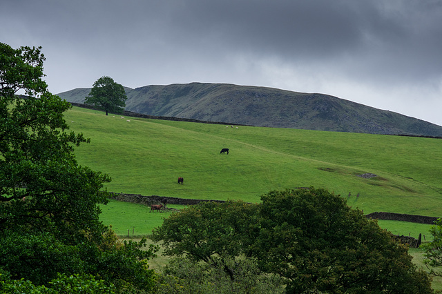 Kinderlow End - a new view