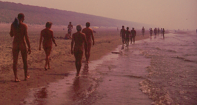 Naked beach walkers
