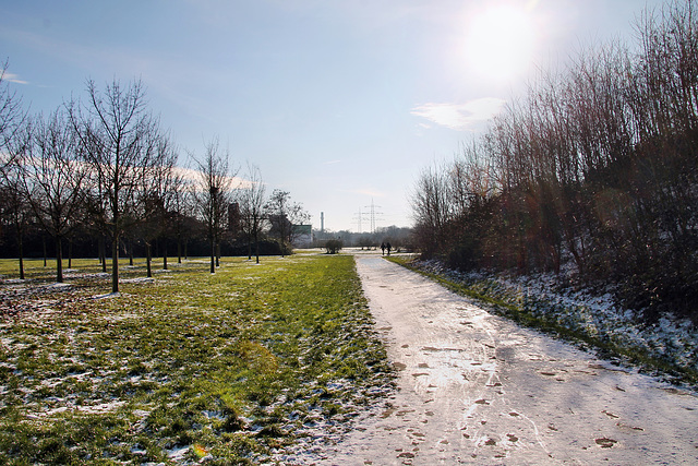 Angerpark, Weg neben der Heinrich-Hildebrand-Höhe (Duisburg-Wanheim-Angerhausen) / 20.01.2024