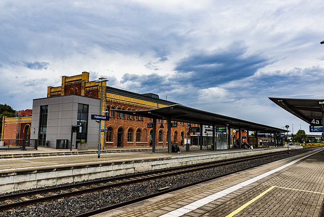 20240908_halberstadt tiergarten (d800+d2x)