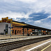 20240908_halberstadt tiergarten (d800+d2x)