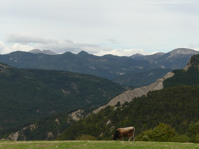 20250926 -1005 Haut diois (Vallee Roanne  Charens Valdrôme) (31)