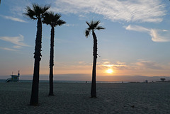 USA - California, Los Angeles / Venice