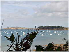 Vue depuis le chemin de randonnée à Dinard (35)