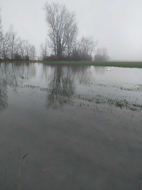 Le Rhône se trouve à l’étroit dans son lit !