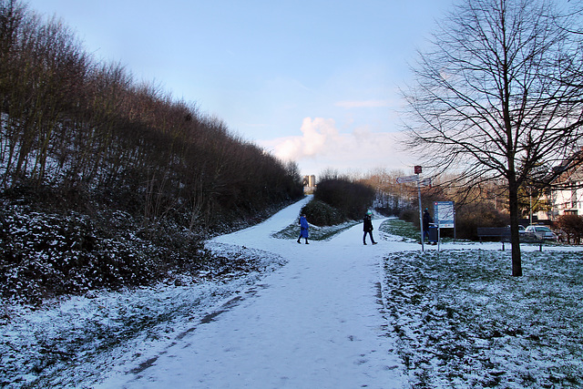 Angerpark, Weg neben der Heinrich-Hildebrand-Höhe (Duisburg-Wanheim-Angerhausen) / 20.01.2024