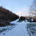 Angerpark, Weg neben der Heinrich-Hildebrand-Höhe (Duisburg-Wanheim-Angerhausen) / 20.01.2024