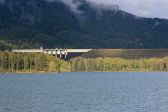Lookout Point Dam