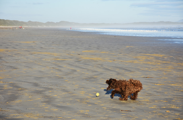 autumn at the beach