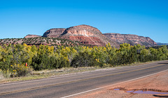 New Mexico landscape68