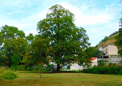 Parc du bosquet (26)