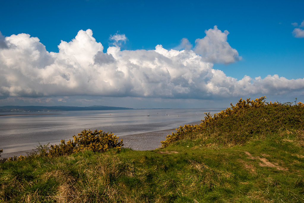 Thurstaston country park