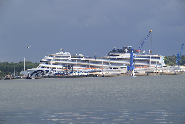 MSC EURIBIA