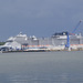 MSC EURIBIA