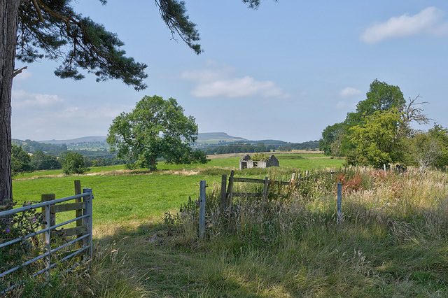 HFF ~ Dales Pastoral