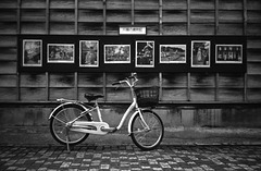 Exhibit on the wall Exhibit on the wall